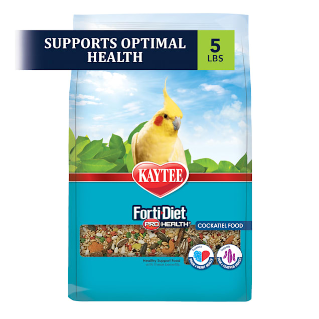 Petco cockatiel clearance
