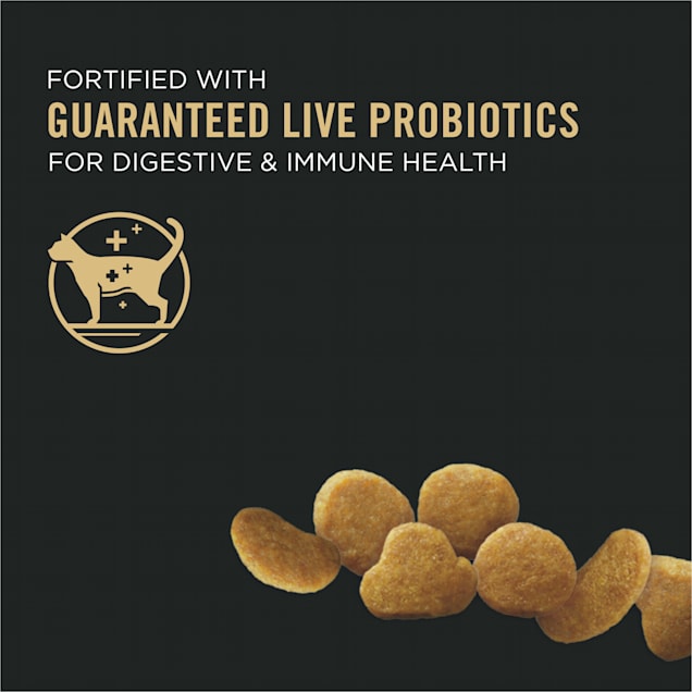 Purina Pro Plan With Probiotics High Protein Chicken u0026 Rice 