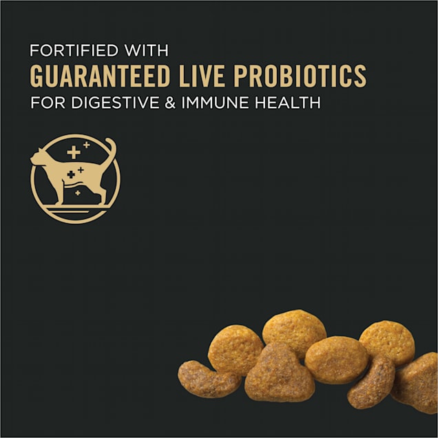 Pro plan clearance savor cat food