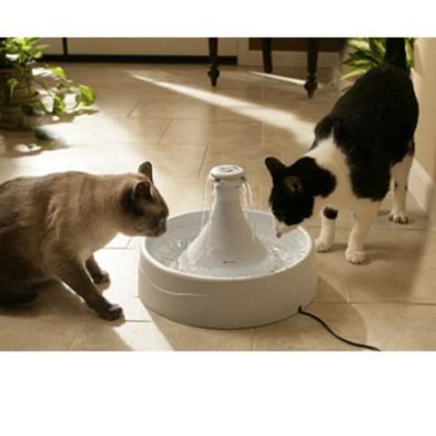 Submersible Drinkwell 360 And Ceramic Dog Cat Water Fountain  Pump 