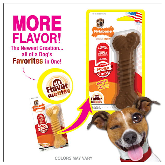 Nylabone Dura Chew Textured Bone Wolf for Dogs, Small Nylabone Dura Chew Textured Bone Wolf for Dogs, Small