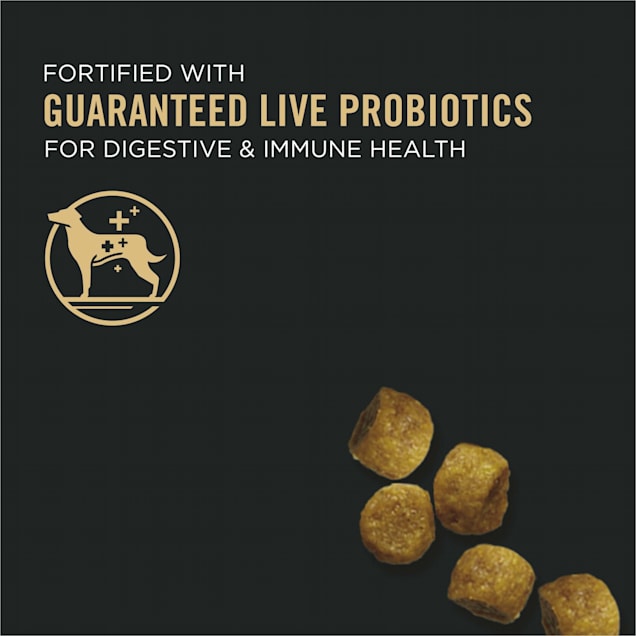 Purina pro plan online focus petco