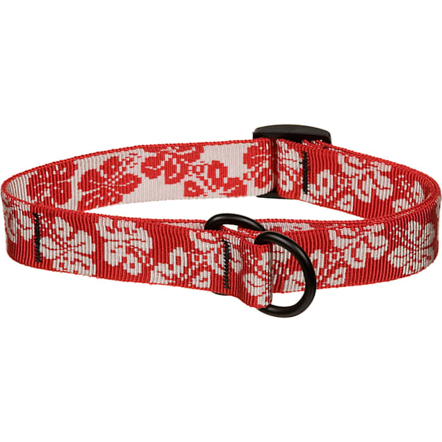 Nylon slip collar deals