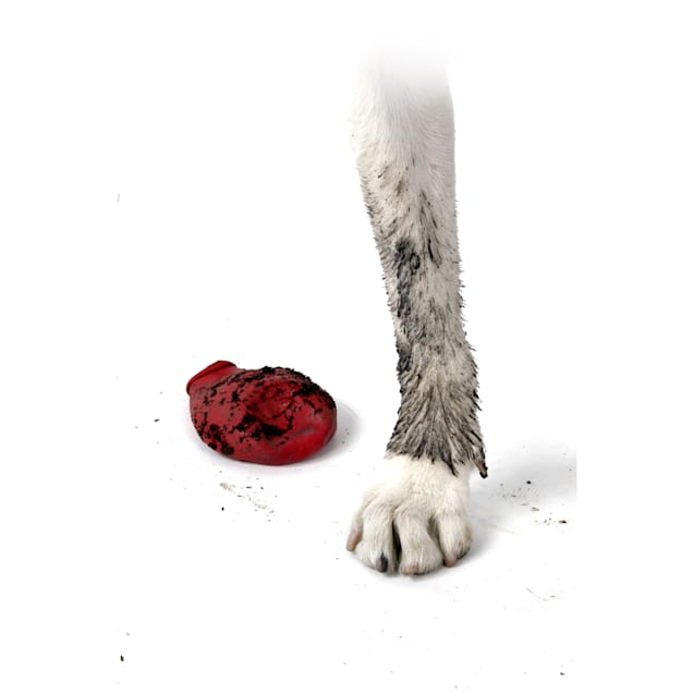 Petco pawz dog boots discount