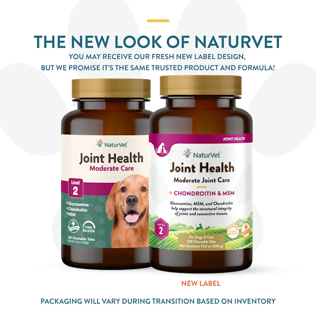 Joint care supplement for cheap dogs