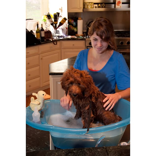 Pet Gear Blue Pup Tub