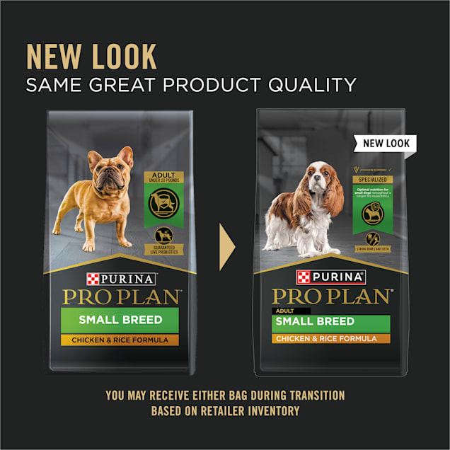 High protein small breed dog best sale food