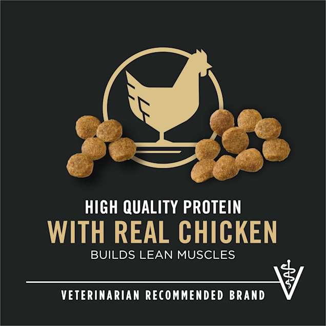 Purina Pro Plan High Protein Chicken and Rice Formula Dry Puppy Food, 34  lbs.