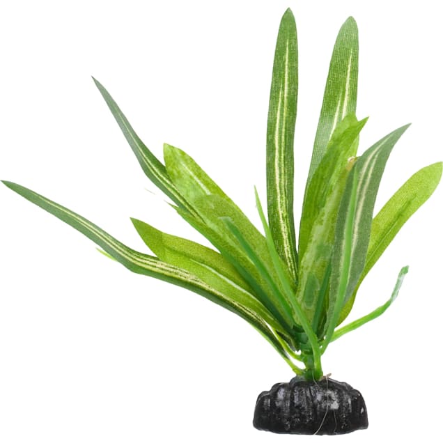 Petco Anubias Silk Betta Plant for Aquariums & Fish Tanks