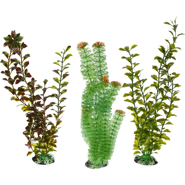 Imagitarium Super Background Plastic Aquarium Plant Petco
