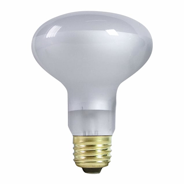 Incandescent white online