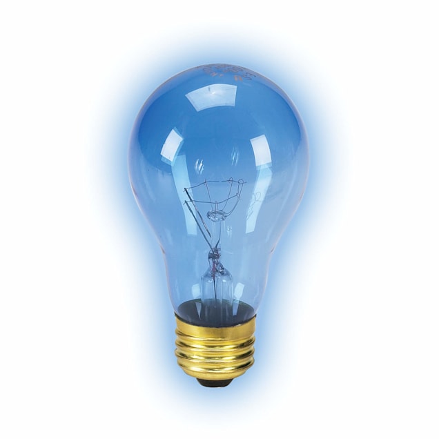 Zoo Med Laboratories Azmhlb15 15-Watt Highlights Incandescent Bulb Blue 