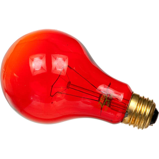 Zilla Night Red Heat Incandescent Bulb, 150 Watts Petco
