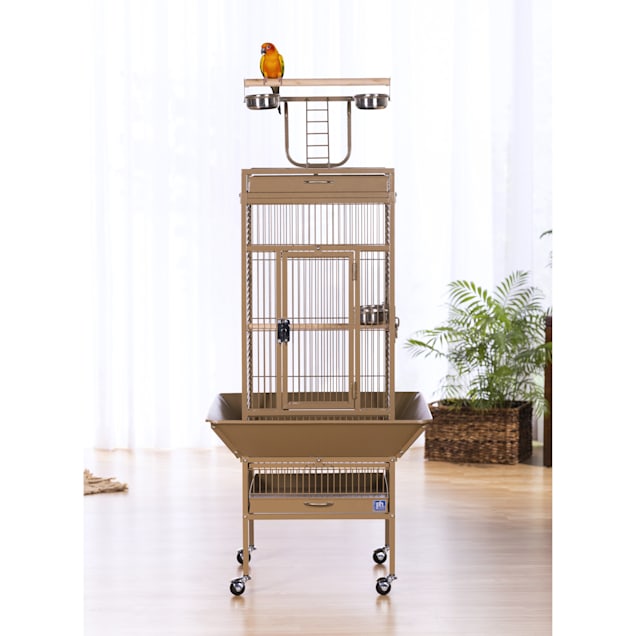 Prevue wrought iron bird cage outlet