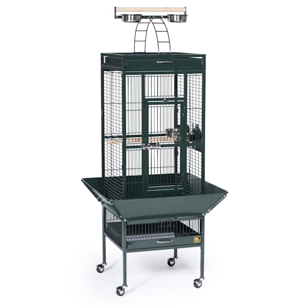 Prevue Pet Products Signature Select Series Wrought Iron Bird Cage in Metallic Jade - Carousel image #1