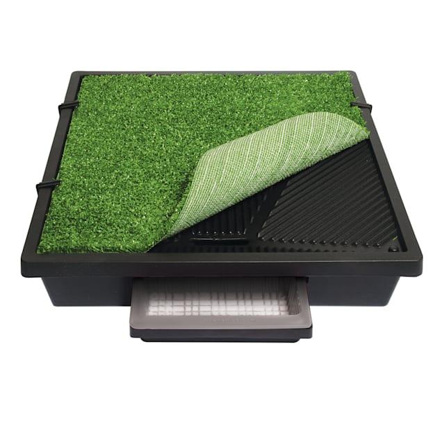 Pet Loo Indoor Yard Training System for Dogs Large Petco