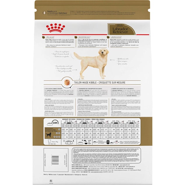 Labrador dog food chart