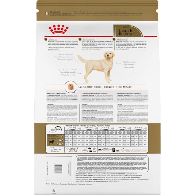 Labrador Dog Diet Chart Ubicaciondepersonas cdmx gob mx