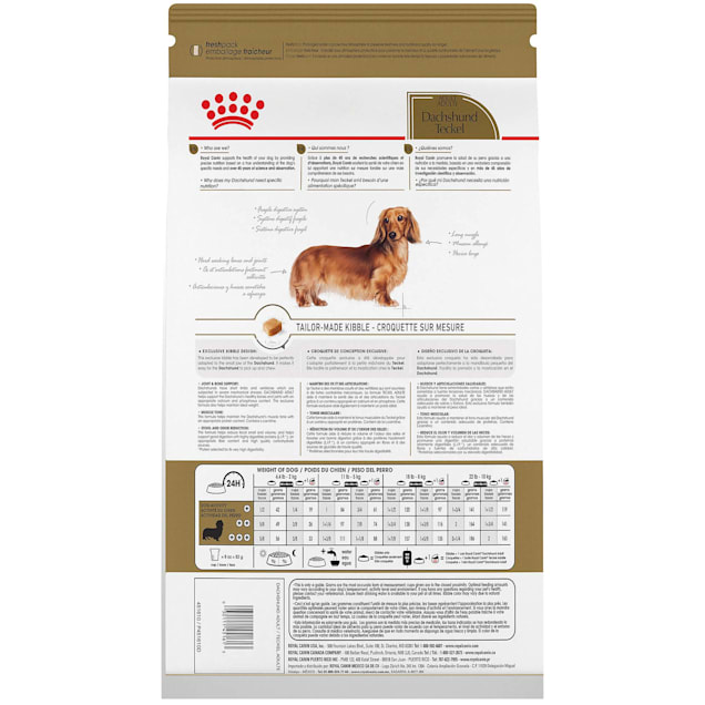 Best dog food for senior dachshunds discount