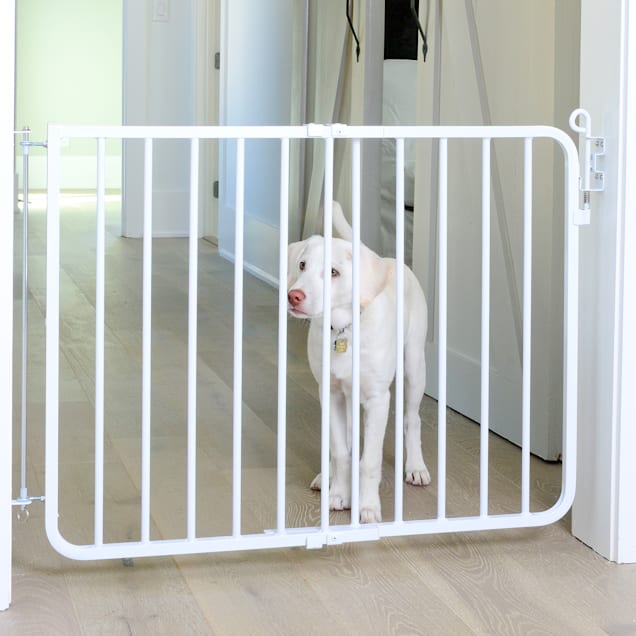 Dog gates petco 2025