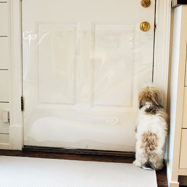 Door shield protection from pet scratches top