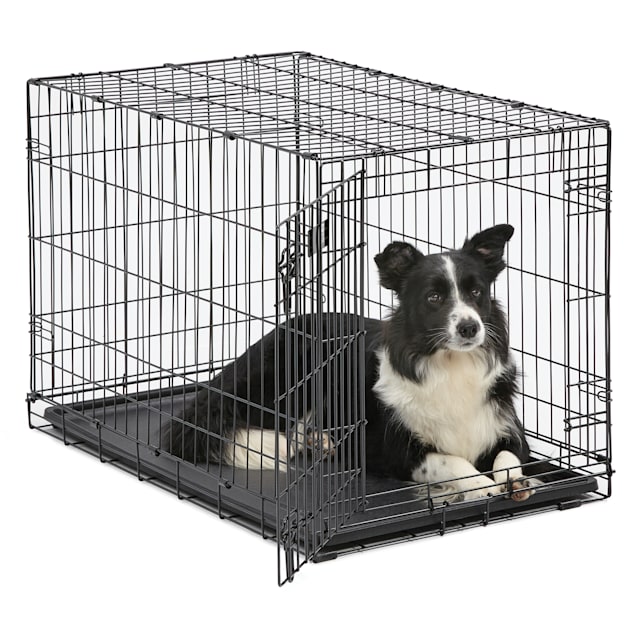 Midwest iCrate Single Door Folding Dog Crates, 30L X 19W X 21H