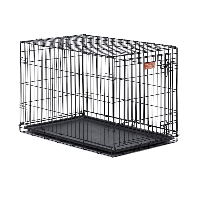 Midwest iCrate Single Door Folding Dog Crate, 36