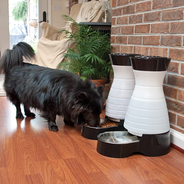The Benefits of Using a Large Dog Gravity Feeder