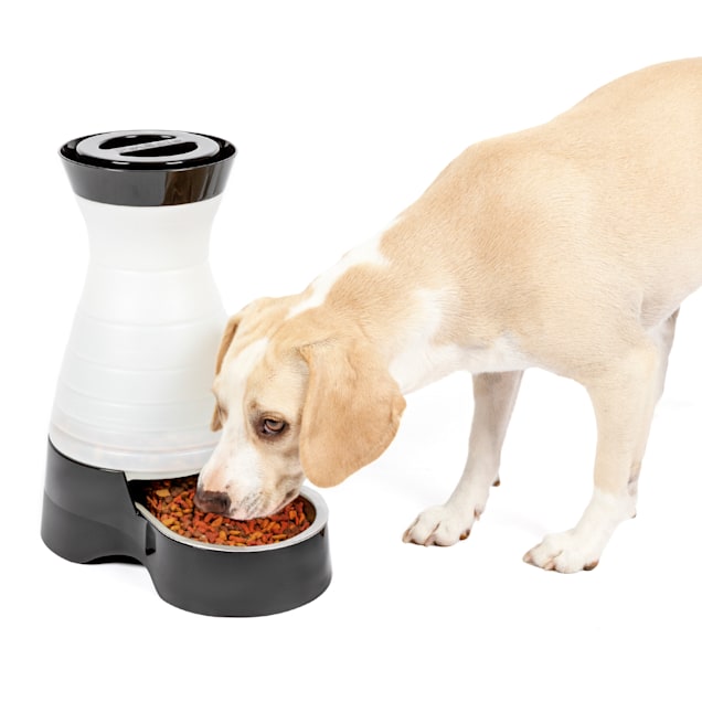 PetSafe Healthy Pet Gravity Feeder Holds up to 4 pounds