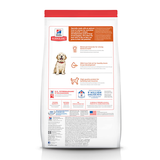 Large breed puppy dog food sales