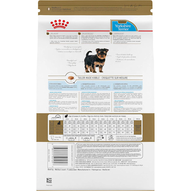 royal canin yorkie puppy food feeding guide