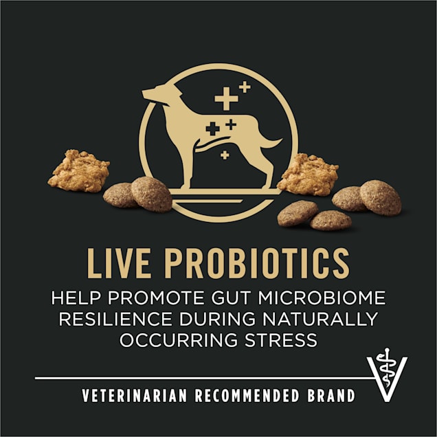 Purina pro plan focus petco clearance