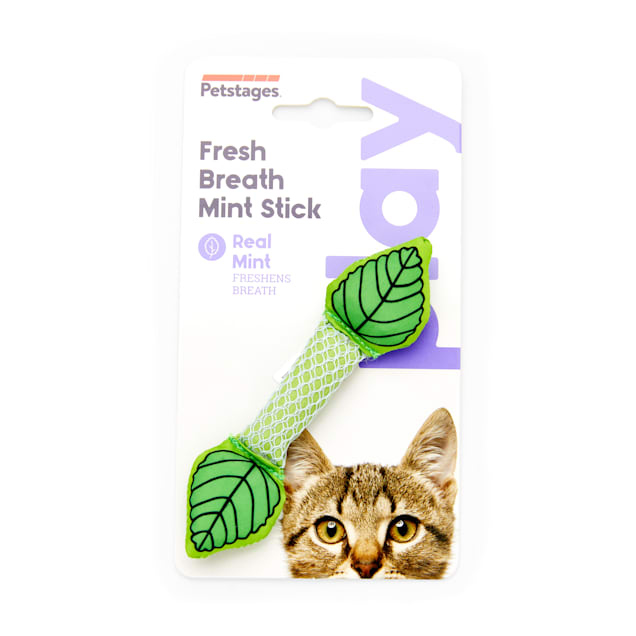 Petstages Cat Dental Mint Stick Cat Toy Petco