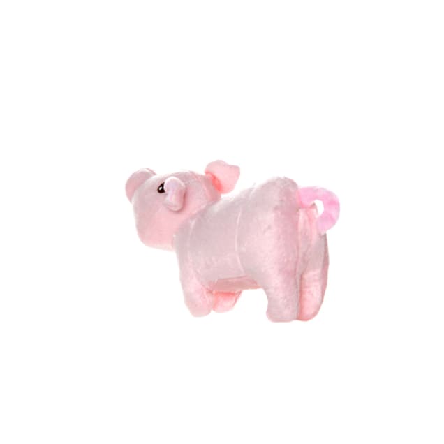 Pig dog cheap toy petco