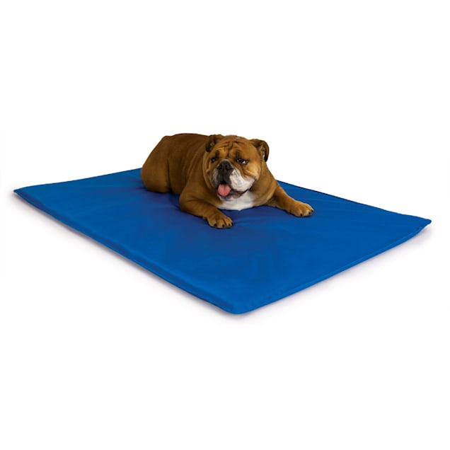 Dog cooling mat petco 2025