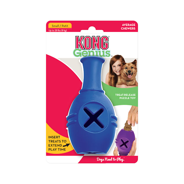 KONG Genius Leo Food Dispensing Assorted Dog Toy Small Petco