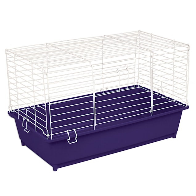 Petco guinea pig supplies discount