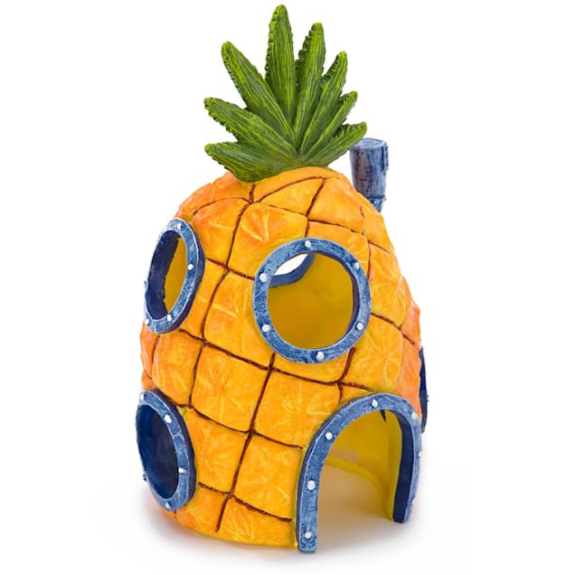 Spongebob fish outlet tank petco