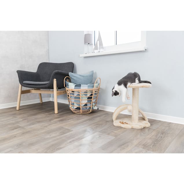 Kitten tower new arrivals