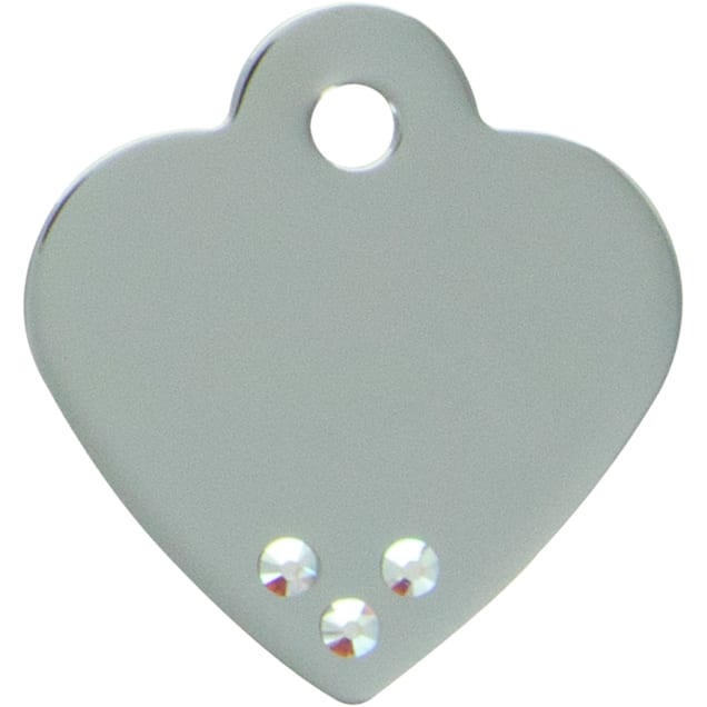 Quick-Tag Chrome Bone Personalized Engraved Pet ID Tag, Small