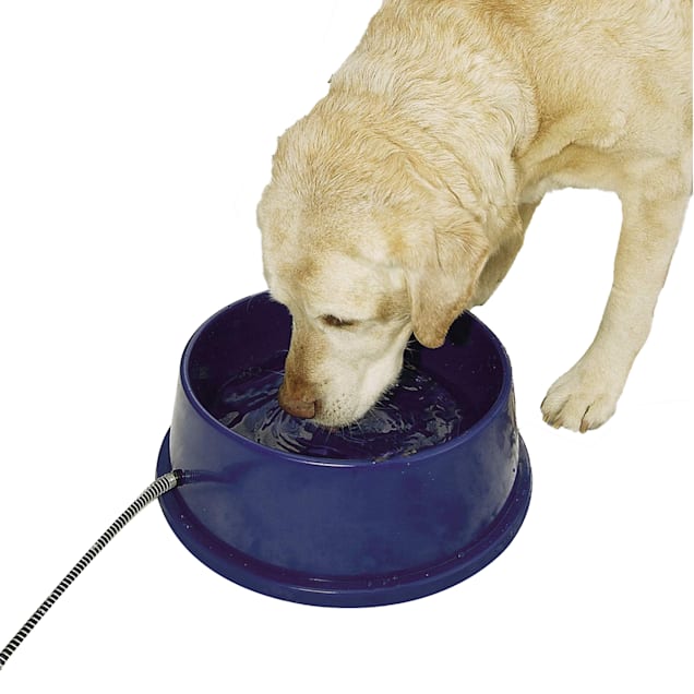 Dog water dish fountain outlet