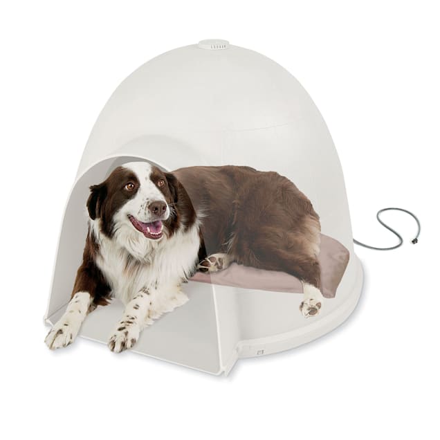 Heated dog new arrivals bed outdoor