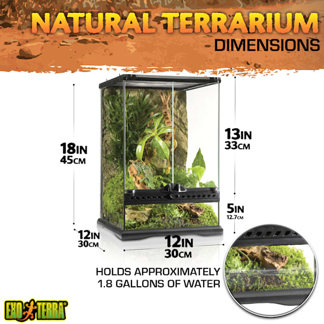 Exo Terra Rainforest Reptile Terrarium Kit Small Petco
