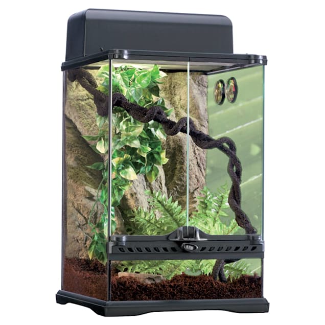 Exo-Terra Rainforest Reptile Terrarium Kit, Small