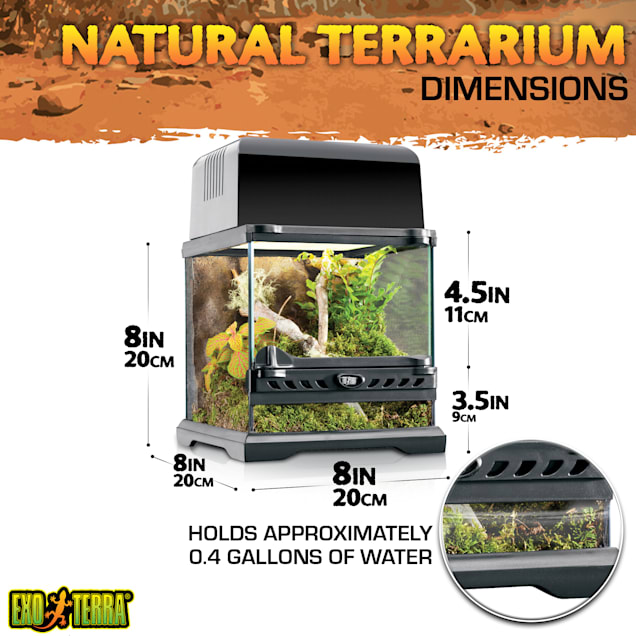 Exo-Terra Nano Glass Terrarium, L X 8" W X 8" H | Reptile Habitats & Enclosures