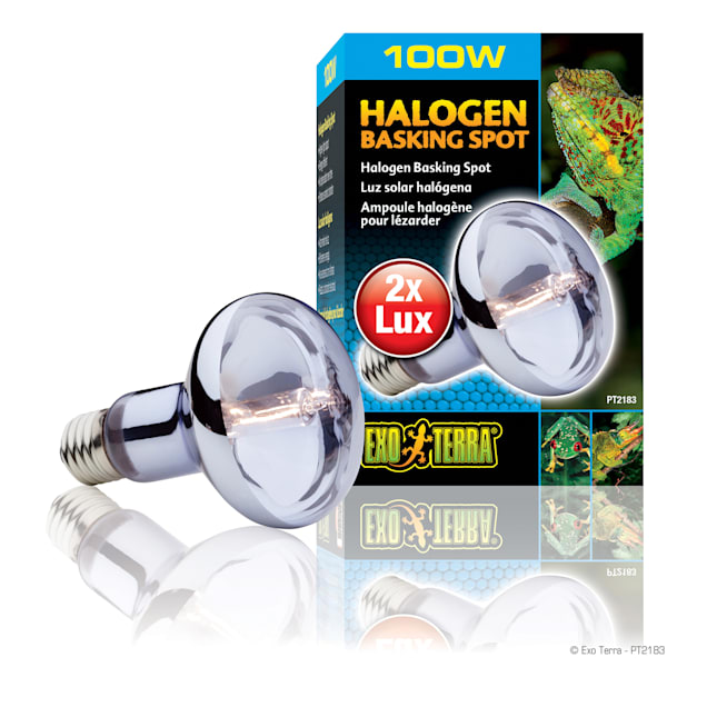 Exo Terra Halogen Basking Spot Lamp 100 Watts Petco