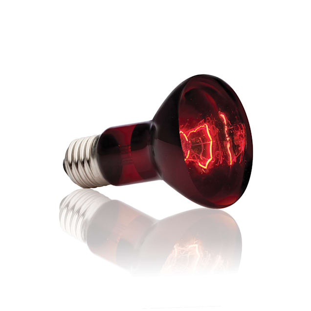 Exo-Terra Infrared Basking Spot Lamp 75W - Carousel image #1