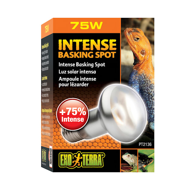 Exo Terra Intense Basking Spot Lamp 75w Petco