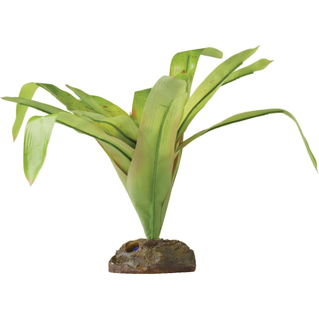 Exo-Terra Smart Plant Dart Frog Bromelia Terrarium Plant, Medium - Carousel image #1