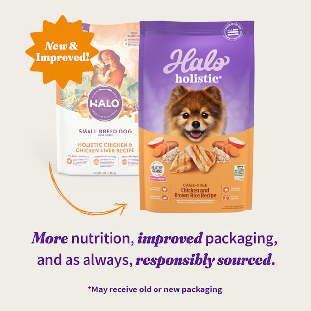 Best holistic dog food for small breeds hotsell